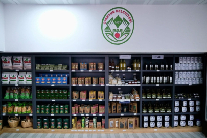 Gemlik’in Zeytinyağları Giresun'da