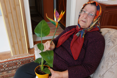 ’Canlı’ diye aldığı çiçek ‘plastik’ çıkınca BİM’i savcılığa şikayet etti