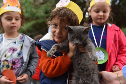Yıldırım'da 625 patili dost sıcak yuvaya kavuştu