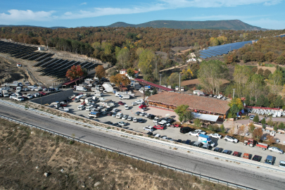 Tarihi hayvan pazarında şap görüldü