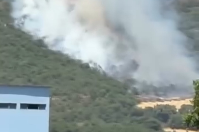 Yenişehirde orman yangını: Havadan ve karadan müdahale ediliyor