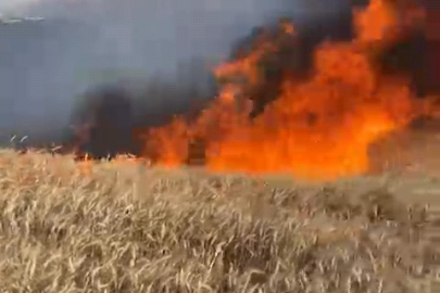 Bursa’da buğday tarlası alev alev yandı