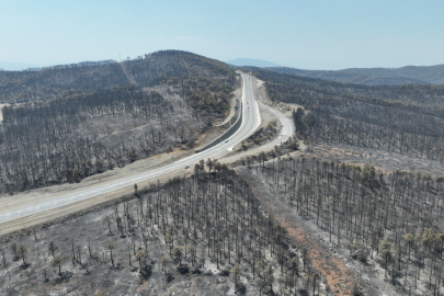 Başkan Bozbey: "10 bin futbol sahası kadar alanı kaybetmenin üzüntüsünü yaşıyoruz"