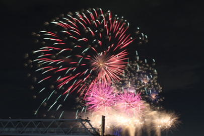 Nilüfer'de havai fişek patlatıp yangın çıkaranlara 100 ağaç dikme cezasıı