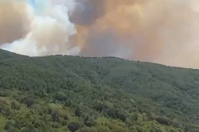 İznik'te orman yangını başladı, müdahale sürüyor