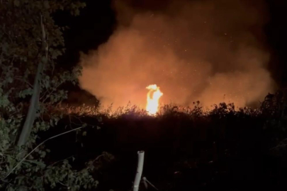 İznik’te korkutan yangın