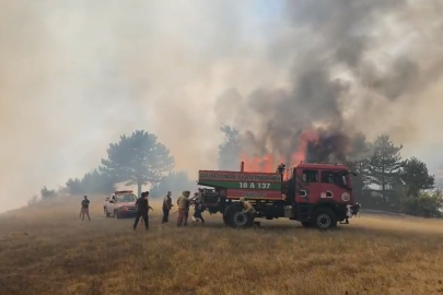 Bursa’daki orman yangını kontrol altına alındı
