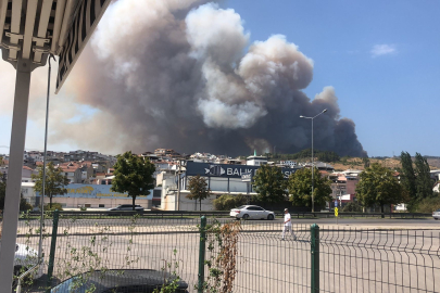 Bursa'da orman yangını