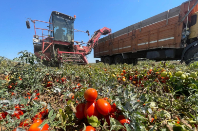 Tarımda plansızlık, üreticiyi zora sokuyor
