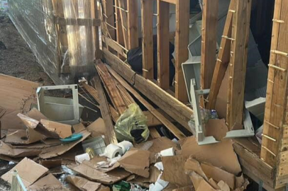 Uludağ'da ayılar barakalara girdi, ortalık darmadağın oldu