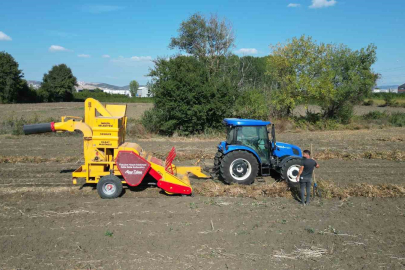 İnegöl’ün cerrah kuru fasulyesinde hasat zamanı