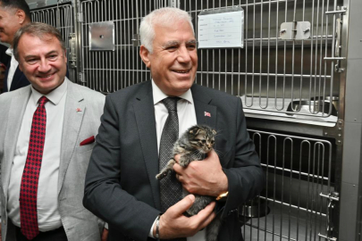 Büyükşehir'den can dostlara şefkat eli