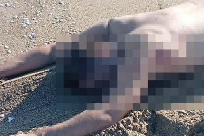 Sakarya’da sahilde çıplak erkek cesedi bulundu