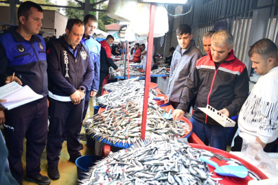 Yenişehir’de balık pazarı’na sıkı denetim