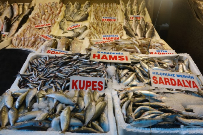 Balıkta bolluk yaşanıyor, fiyatlar kasım sonuna kadar uygun