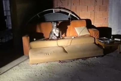 Panik yaşayan mahalle sakinleri konuştu