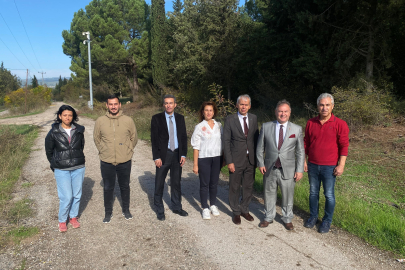 Bursa tarımına akademik bakış