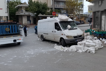 Bursa’da lodos: Otomobilin üzerine ağaç devrildi