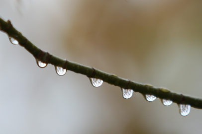 Bursa'da 2 günlük yağışlar ekim ayını kurtardı
