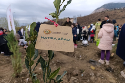 Bursa’da yanan ormanlar Milli Ağaçlandırma Günü’nde yeniden yeşeriyor