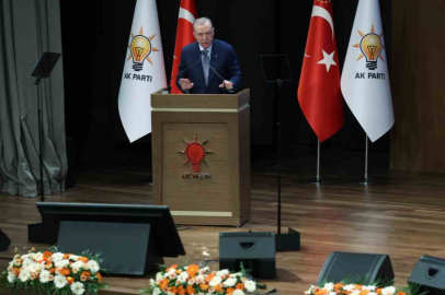 Cumhurbaşkanı Erdoğan: "Uçağımızın kara kutusu bulunmuş, incelemeler başlatılmıştır"