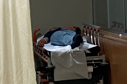 Ormandaki mantarları yiyen 7 kişi hastanelik oldu