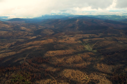 953 hektar kül oldu, Bursa'yı yeniden yeşertecek 300 bin fidan için ilk adım atıldı