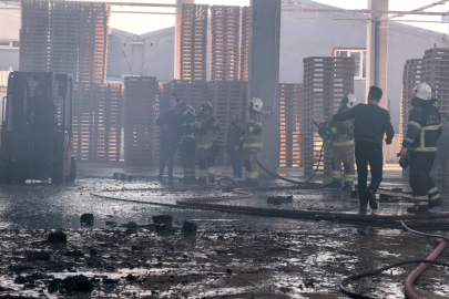 Bursa’da palet fabrikası alevlere teslim oldu