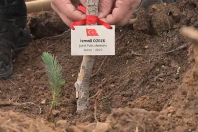 Bursa’da şehitler anısına fidan dikildi