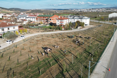 572 fidanlı koruluk Akhisan'a nefes olacak