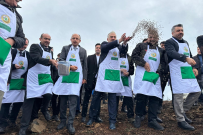 Harmancık'ta yanan 4 bin 256 hektar alan ağaçlandırılıyor