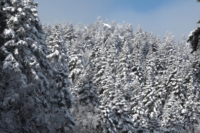 Uludağ'da göz gözü görmüyor