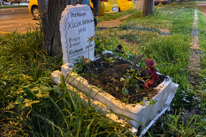 Taksicilerden vefa...Ölen muhabbet kuşları için mini mezar yaptılar