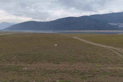 Bursa’da bir göl daha yok oluyor...