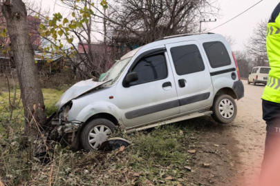 Ticari araç ağaca çarptı: 1'i çocuk 2 yaralı