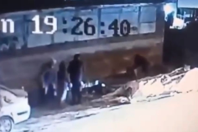 Başıboş köpek dehşetİ 3 kişi yaralandı