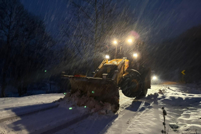 Nilüfer'de kar mesaisi