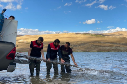 Türkiye nüfusu kadar balık deniz ve göllere bırakıldı