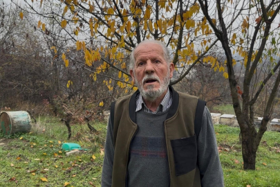 Zirai ilaç yüzünden milyonlarca arısı kovana dönemeden öldü