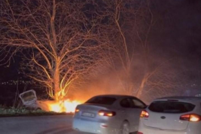 Bursa'da kontrolden çıkan otomobil önce ağaca çarptı sonra alev aldı