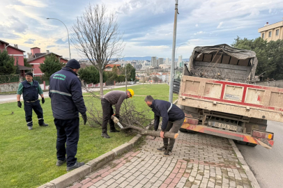 Şiddetli lodosun devirdiği ağaçlara anında müdahale
