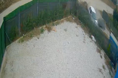 Direksiyon hakimiyetini kaybeden sürücü ölümden böyle döndü