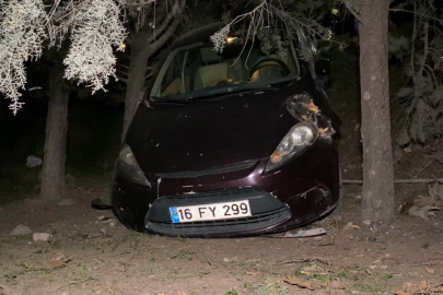 Kazadan sonra panik yaptı, alışveriş merkezinin bahçesine uçtu