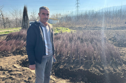 Kurulan her meyve bahçesinde "Bursa" imzası var