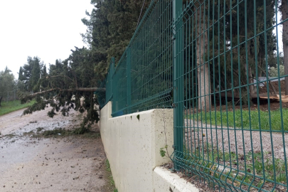 Mudanya'da lodos ve yangın paniği