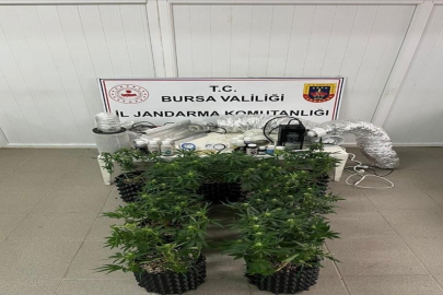 İnegöl'de uyuşturucu operasyonu: Evde esrar üretim düzeneği ele geçirildi