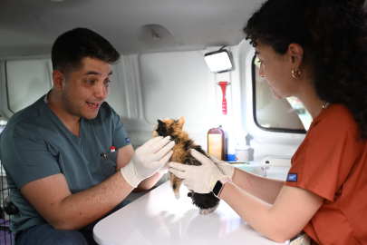 Yıldırım Belediyesi'nden sokak hayvanlarına sıcak yuva