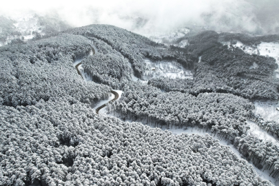 Beyaz örtüyle Uludağ'ın virajları görsel şölene dönüştü