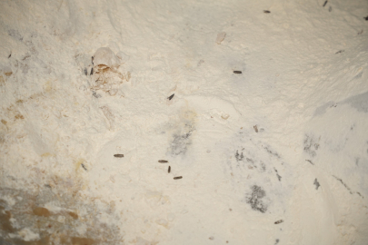 Yenişehir Belediyesi'nden YESAŞ'a hijyen cezası