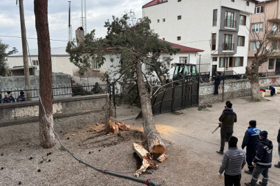 Okulların tatil olması faciayı önledi...